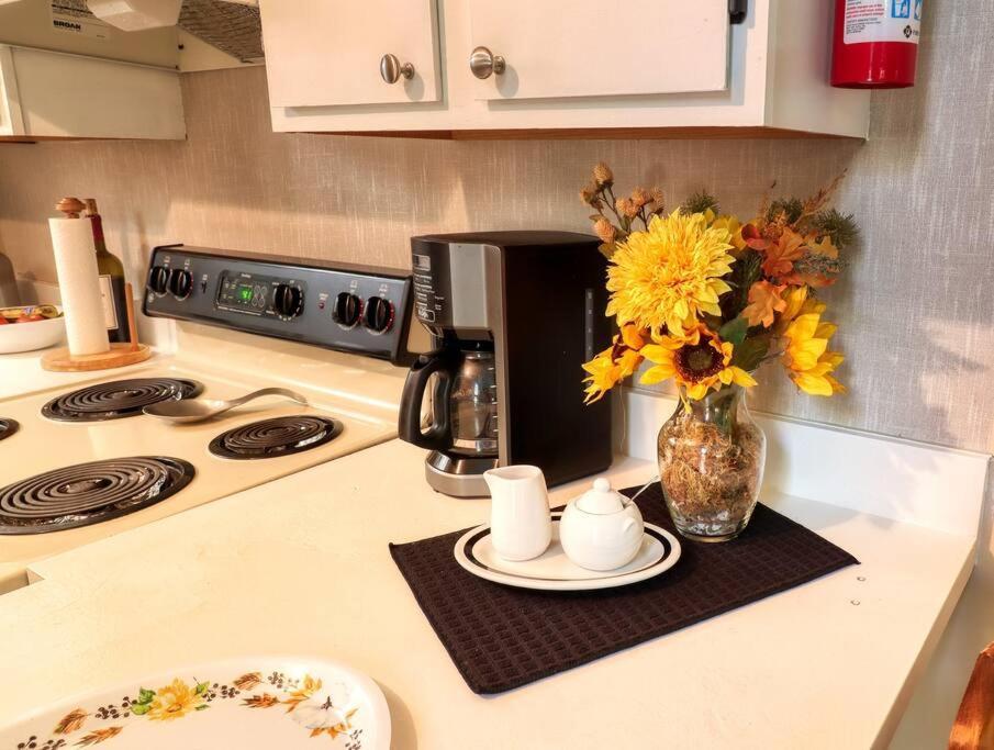 Bryce Chalet Retreat A Mountain Getaway バサイ エクステリア 写真